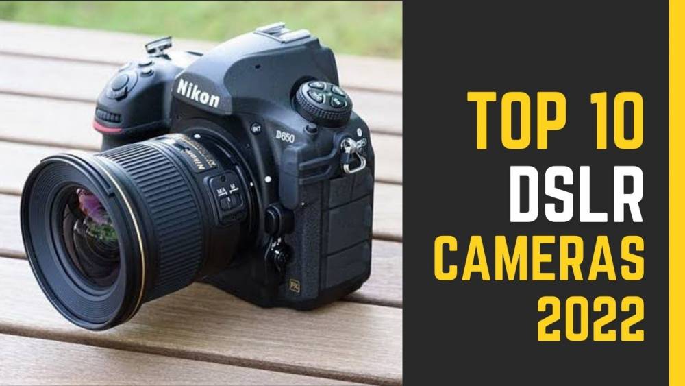 10 Best Budget DSLR Cameras For Beginners