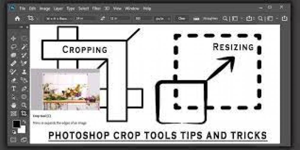 5 Methods to Crop Pictures